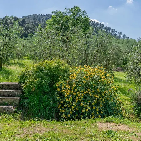 Tatil Evi Dulu - Luminoso Spazio